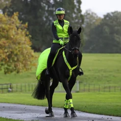 EQUI-FLECTOR® Mesh Exercise Sheet^Shires Equestrian Clearance
