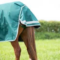 Highlander Original 300 Turnout Combo Rug^Shires Equestrian Best