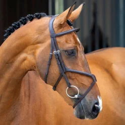 Velociti Lusso Grackle Bridle^Shires Equestrian Discount