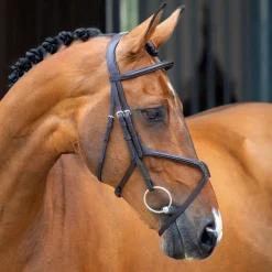 Velociti Lusso Grackle Bridle^Shires Equestrian Discount