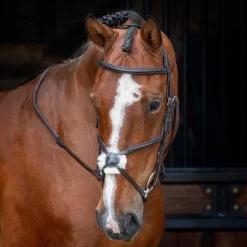 Velociti RAPIDA Grackle Bridle^Shires Equestrian Clearance